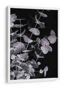 Follaje de eucalipto oscuro - Fluidys Studio III | Cuadro decorativo de Canvas Lab