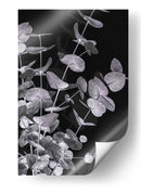 Follaje de eucalipto oscuro - Fluidys Studio III | Cuadro decorativo de Canvas Lab