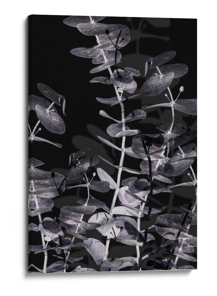 Juego de sombras de eucalipto - Fluidys Studio III | Cuadro decorativo de Canvas Lab