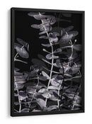 Juego de sombras de eucalipto - Fluidys Studio III | Cuadro decorativo de Canvas Lab