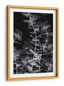Juego de sombras de eucalipto - Fluidys Studio III | Cuadro decorativo de Canvas Lab