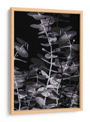 Juego de sombras de eucalipto - Fluidys Studio III | Cuadro decorativo de Canvas Lab