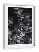 Juego de sombras de eucalipto - Fluidys Studio III | Cuadro decorativo de Canvas Lab