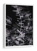 Juego de sombras de eucalipto - Fluidys Studio III | Cuadro decorativo de Canvas Lab
