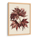 Hojas De Arce Japonesas Ii - Stroobant | Cuadro decorativo de Canvas Lab