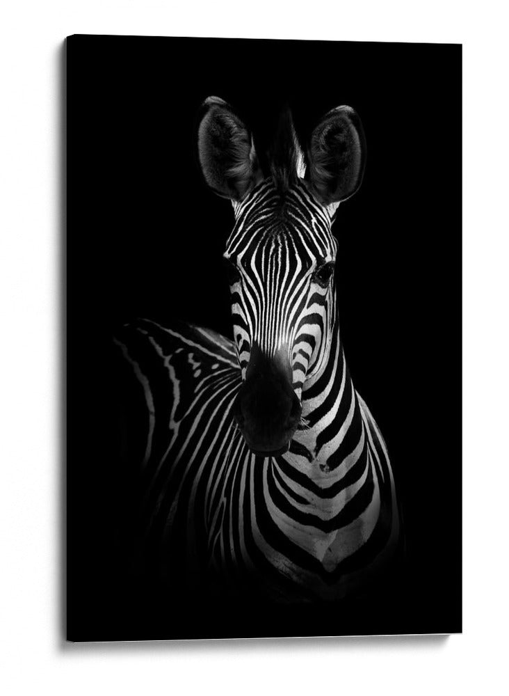 Impresionante retrato sobrio de cebra - WildPhotoArt | Cuadro decorativo de Canvas Lab