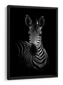 Impresionante retrato sobrio de cebra - WildPhotoArt | Cuadro decorativo de Canvas Lab