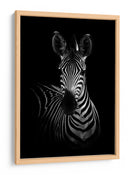 Impresionante retrato sobrio de cebra - WildPhotoArt | Cuadro decorativo de Canvas Lab