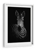 Impresionante retrato sobrio de cebra - WildPhotoArt | Cuadro decorativo de Canvas Lab