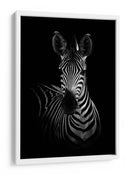 Impresionante retrato sobrio de cebra - WildPhotoArt | Cuadro decorativo de Canvas Lab