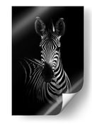 Impresionante retrato sobrio de cebra - WildPhotoArt | Cuadro decorativo de Canvas Lab