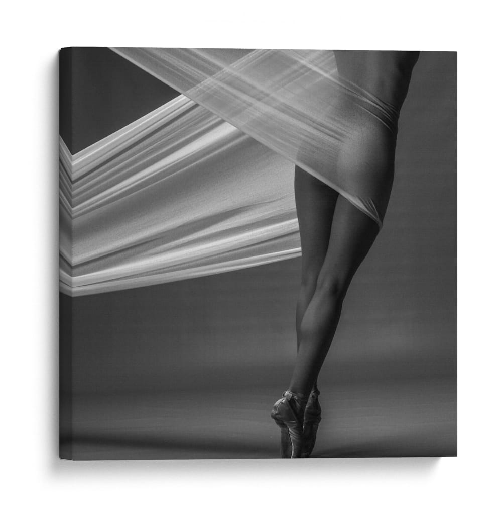 Forma de ballet elegante y misterioso - Malvin Jan Dyb | Cuadro decorativo de Canvas Lab