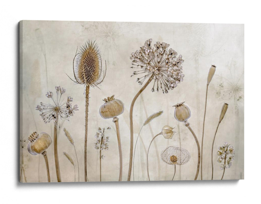 Envejecer - Mandy Disher | Cuadro decorativo de Canvas Lab
