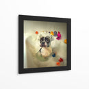 Hora del baño del Boston Terrier - DDiArte | Cuadro decorativo de Canvas Lab