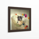 Hora del baño del Boston Terrier - DDiArte | Cuadro decorativo de Canvas Lab