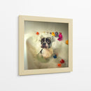 Hora del baño del Boston Terrier - DDiArte | Cuadro decorativo de Canvas Lab