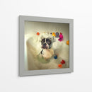 Hora del baño del Boston Terrier - DDiArte | Cuadro decorativo de Canvas Lab