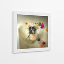Hora del baño del Boston Terrier - DDiArte | Cuadro decorativo de Canvas Lab