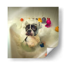 Hora del baño del Boston Terrier - DDiArte | Cuadro decorativo de Canvas Lab