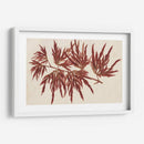 Hojas De Arce Japonesas Iv - Stroobant | Cuadro decorativo de Canvas Lab