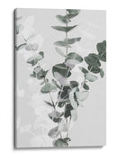 Ramas suaves de eucalipto - Fluidys Studio III | Cuadro decorativo de Canvas Lab
