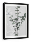 Ramas suaves de eucalipto - Fluidys Studio III | Cuadro decorativo de Canvas Lab