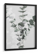Ramas suaves de eucalipto - Fluidys Studio III | Cuadro decorativo de Canvas Lab