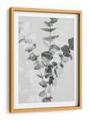 Ramas suaves de eucalipto - Fluidys Studio III | Cuadro decorativo de Canvas Lab