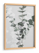 Ramas suaves de eucalipto - Fluidys Studio III | Cuadro decorativo de Canvas Lab