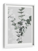 Ramas suaves de eucalipto - Fluidys Studio III | Cuadro decorativo de Canvas Lab