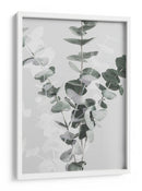 Ramas suaves de eucalipto - Fluidys Studio III | Cuadro decorativo de Canvas Lab