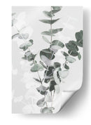 Ramas suaves de eucalipto - Fluidys Studio III | Cuadro decorativo de Canvas Lab