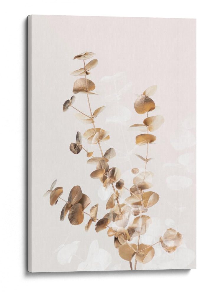 Ramas de eucalipto dorado - Fluidys Studio III | Cuadro decorativo de Canvas Lab
