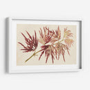 Hojas De Arce Japonés V - Stroobant | Cuadro decorativo de Canvas Lab