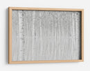 Reflejos de abedul blanco - Aglioni Simone | Cuadro decorativo de Canvas Lab