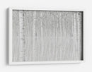 Reflejos de abedul blanco - Aglioni Simone | Cuadro decorativo de Canvas Lab