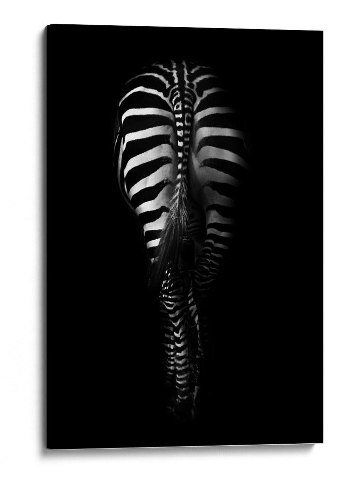 Rayas obscuras de cebra vistas desde atrás - Antonio Grambone | Cuadro decorativo de Canvas Lab