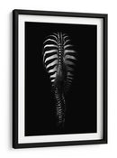 Rayas obscuras de cebra vistas desde atrás - Antonio Grambone | Cuadro decorativo de Canvas Lab