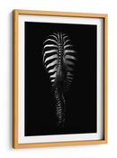 Rayas obscuras de cebra vistas desde atrás - Antonio Grambone | Cuadro decorativo de Canvas Lab