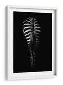 Rayas obscuras de cebra vistas desde atrás - Antonio Grambone | Cuadro decorativo de Canvas Lab
