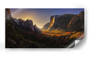 Puesta de sol en Golden Valley - Yan Zhang | Cuadro decorativo de Canvas Lab