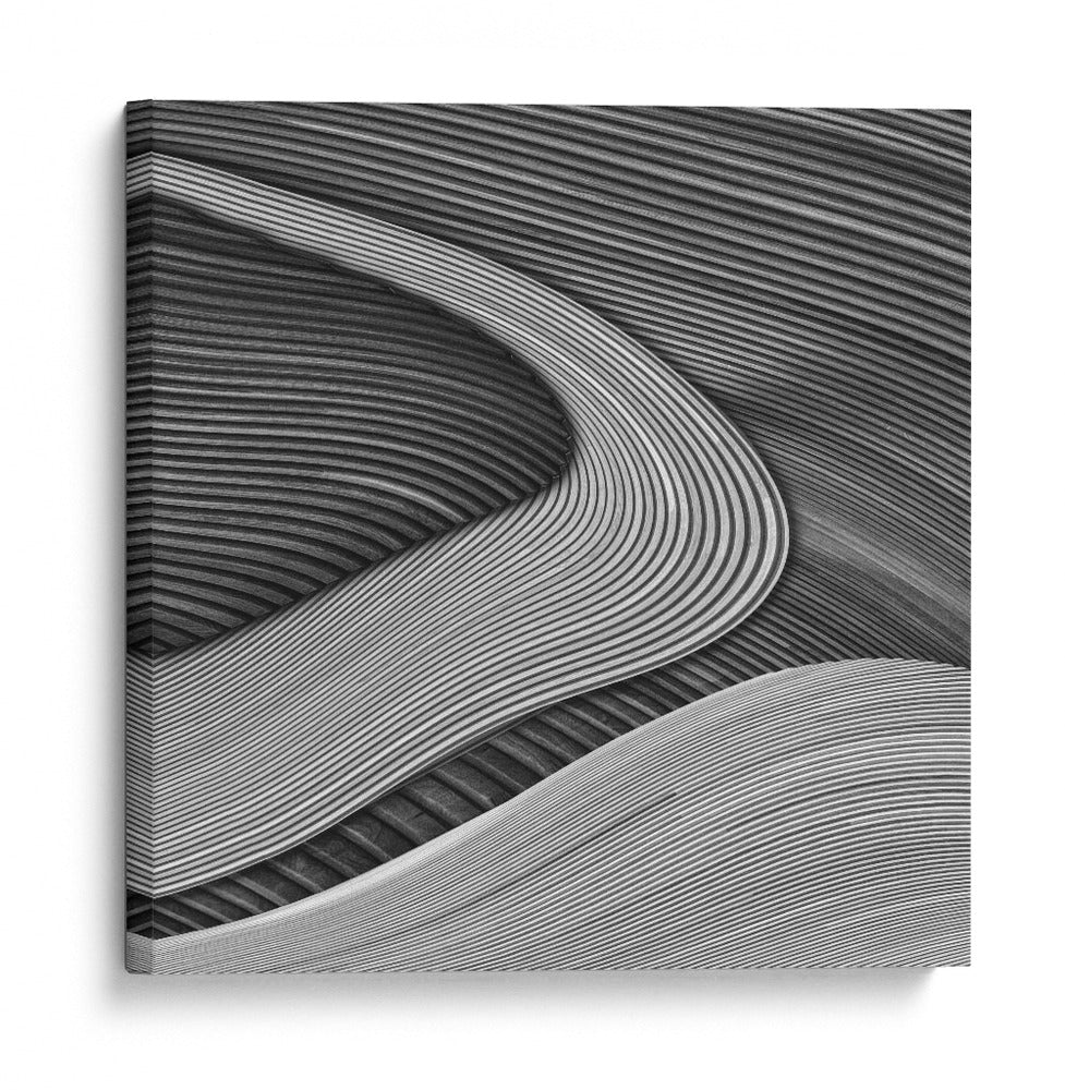 Rayas fluidas abstractas - Luc Vangindertael (laGrange) | Cuadro decorativo de Canvas Lab