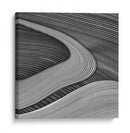 Rayas fluidas abstractas - Luc Vangindertael (laGrange) | Cuadro decorativo de Canvas Lab