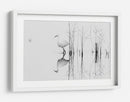 Reflejo de una elegante garza - Zhecho Planinski | Cuadro decorativo de Canvas Lab