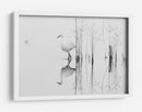 Reflejo de una elegante garza - Zhecho Planinski | Cuadro decorativo de Canvas Lab