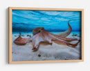 Pulpo gentil bajo el agua - Barathieu Gabriel | Cuadro decorativo de Canvas Lab