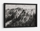 Rayos de luz en el bosque brumoso - Davorin Baloh | Cuadro decorativo de Canvas Lab