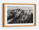 Rayos de luz en el bosque brumoso - Davorin Baloh | Cuadro decorativo de Canvas Lab