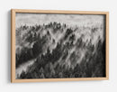 Rayos de luz en el bosque brumoso - Davorin Baloh | Cuadro decorativo de Canvas Lab