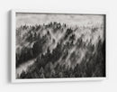 Rayos de luz en el bosque brumoso - Davorin Baloh | Cuadro decorativo de Canvas Lab